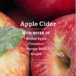 Apple Cider Kitchen Basics Set - Image 4