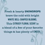 Snowdrop Plug In Scented Oil Warmer With Refill - Image 6
