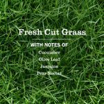 Fresh Cut Grass Room Freshener - Image 3