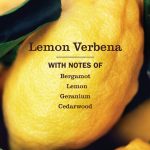 Lemon Verbena  Multi-Surface Everyday Cleaner Concentrate Starter Kit - Image 3