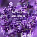Lavender Hand Lotion - Image 4
