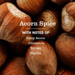 Acorn Spice Multi-Surface Everyday Cleaner - Image 4