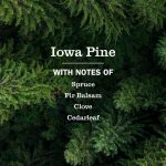 Iowa Pine Hand Lotion - Image 4