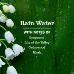 Rain Water Soy Candle Large - Image 3