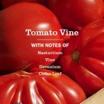 Tomato Vine Liquid Hand Soap - Image 4