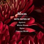 Mum Room Freshener - Image 4