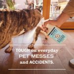 Coconut Leaf  Pet Multi-Surface Cleaner - Image 4
