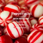 Peppermint Room Freshener - Image 4