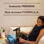 Peppermint Room Freshener - Image 5