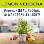 Lemon Verbena Soy Candle Small - Image 3