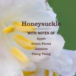 Honeysuckle Multi-Surface Concentrate - Image 4