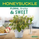 Honeysuckle Scent Sachet - Image 3