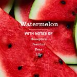 Watermelon Foaming Hand Soap - Image 4