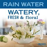 Rain Water Body Wash - Image 3